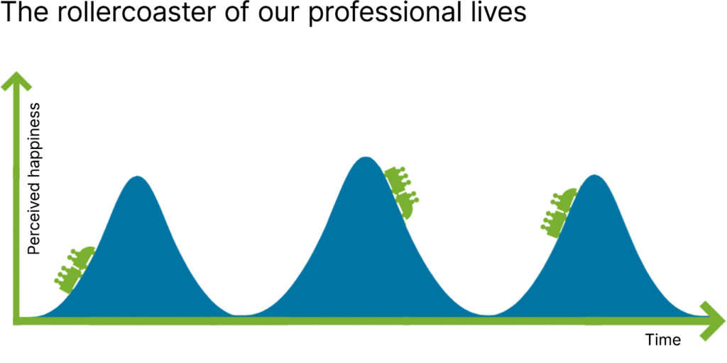 Blogpost Rollercoaster En 1