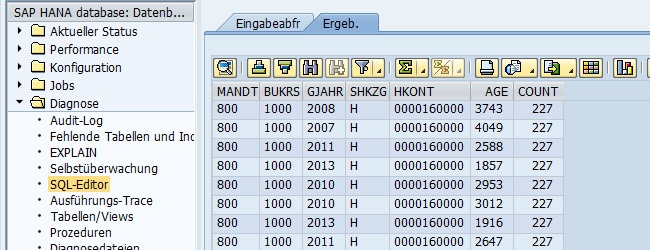 WE RE Konto In SAP Auswerten