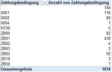 Zahlungsbedingungen PivotTable